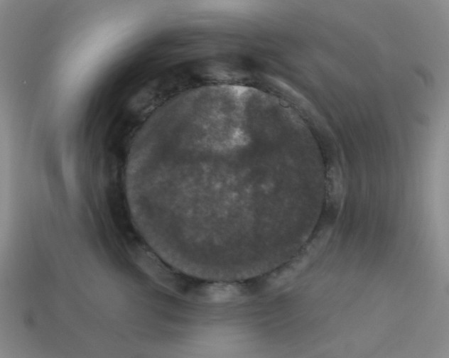 X0000113880762200910221356