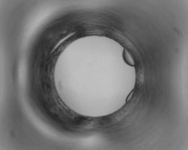 X0000113880764200910221356