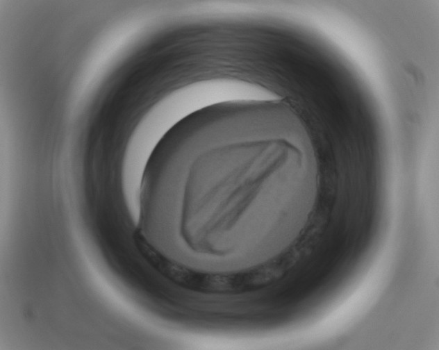 X0000113880766200910221356