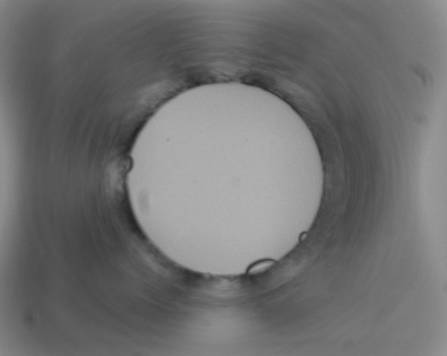 X0000113880768200910221356