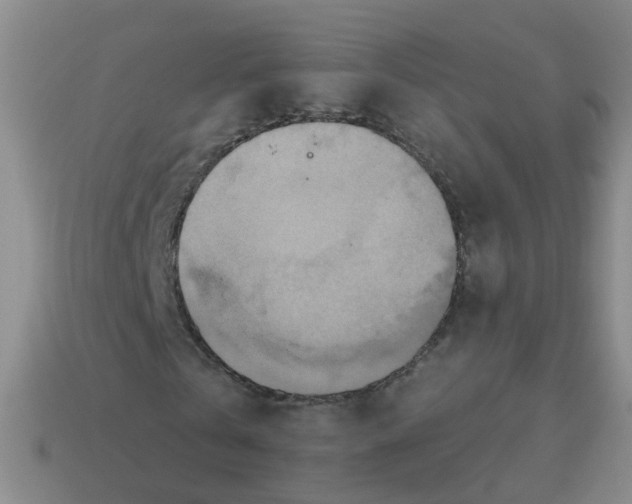 X0000113880769200910221355