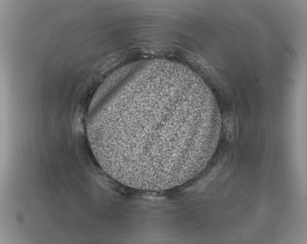 X0000113880770200910221355
