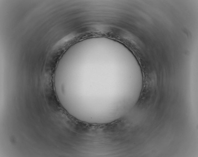 X0000113880773200910221355