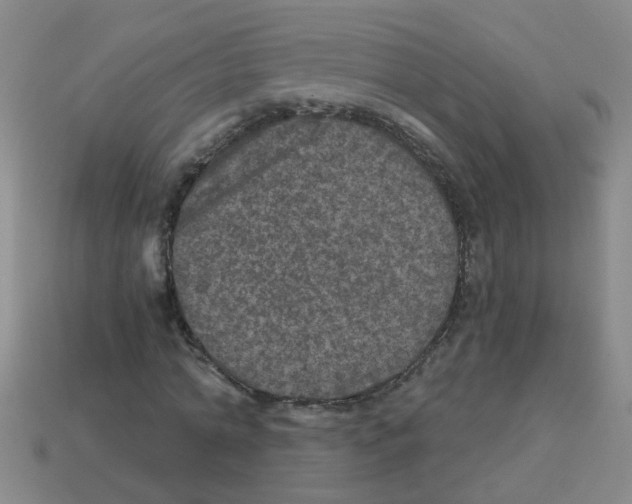 X0000113880774200910221355