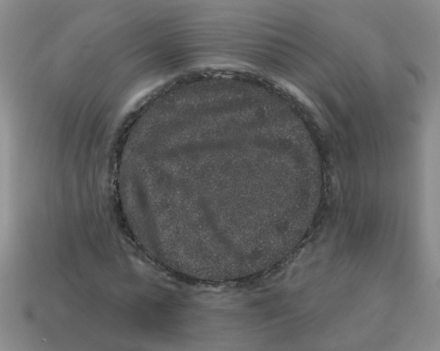 X0000113880775200910221355