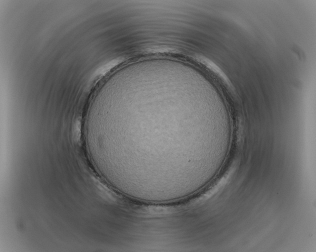 X0000113880777200910221355