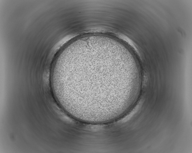 X0000113880778200910221355