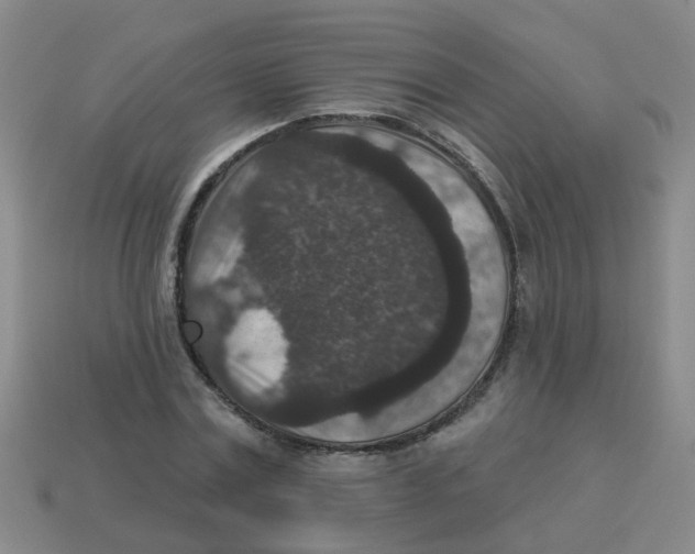 X0000113880779200910221355