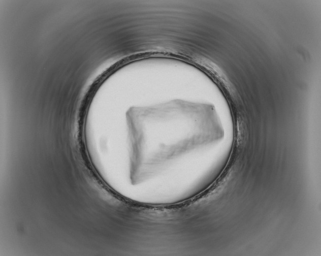 X0000113880780200910221355