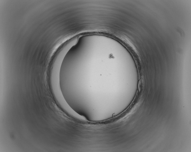 X0000113880781200910221355