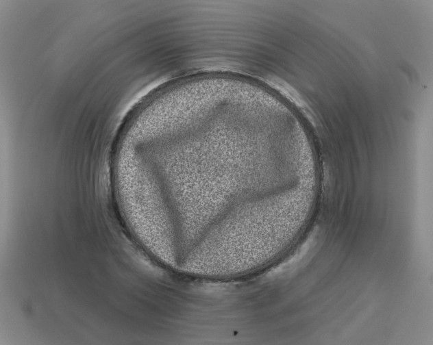 X0000113880782200910221355