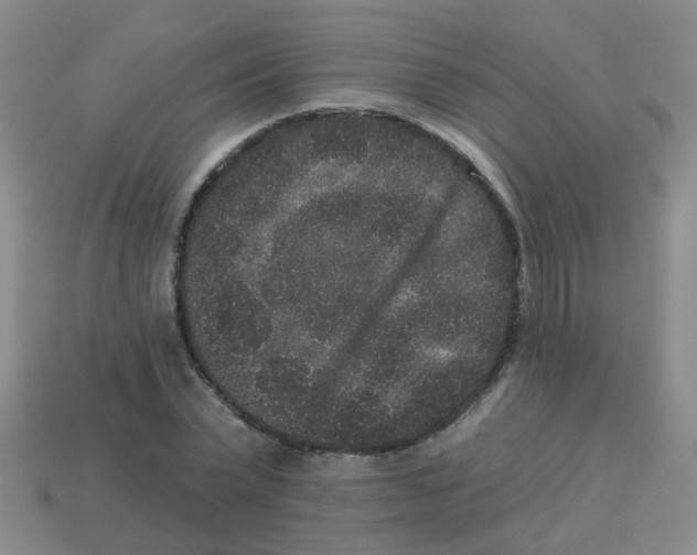 X0000113880783200910221355