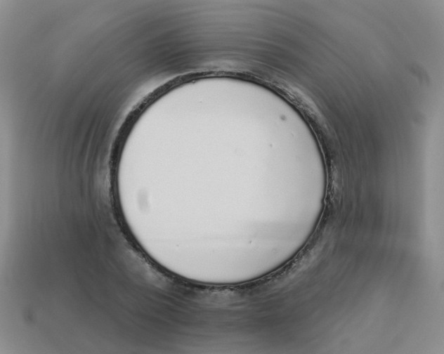 X0000113880784200910221355