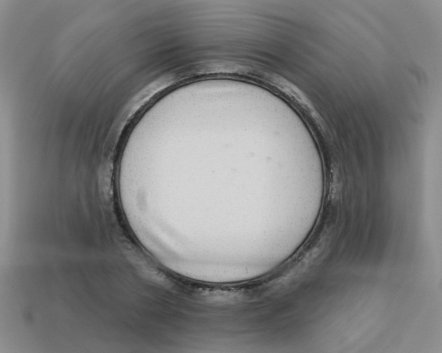 X0000113880786200910221355