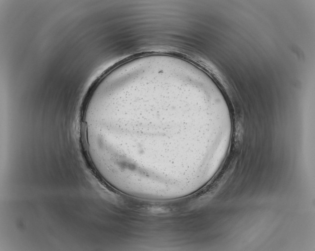 X0000113880787200910221355