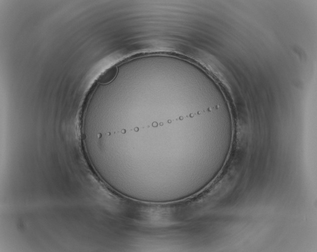 X0000113880789200910221355