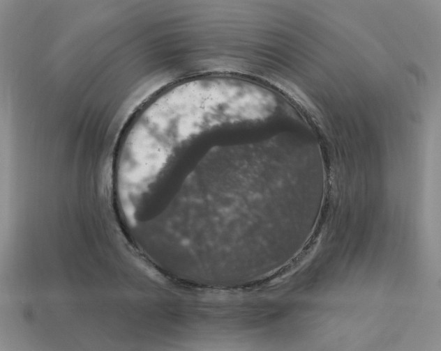 X0000113880790200910221355