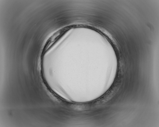 X0000113880791200910221355