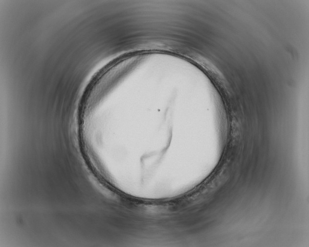 X0000113880792200910221355
