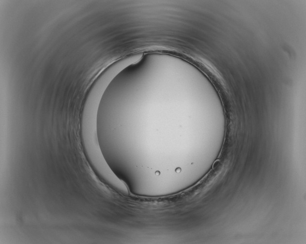 X0000113880793200910221355