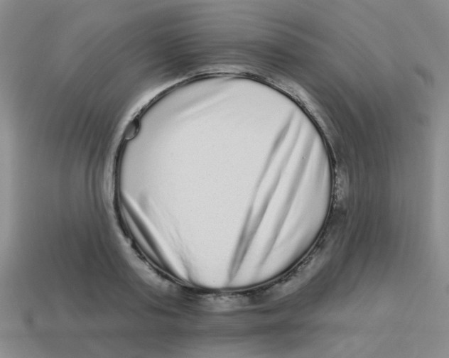 X0000113880795200910221355