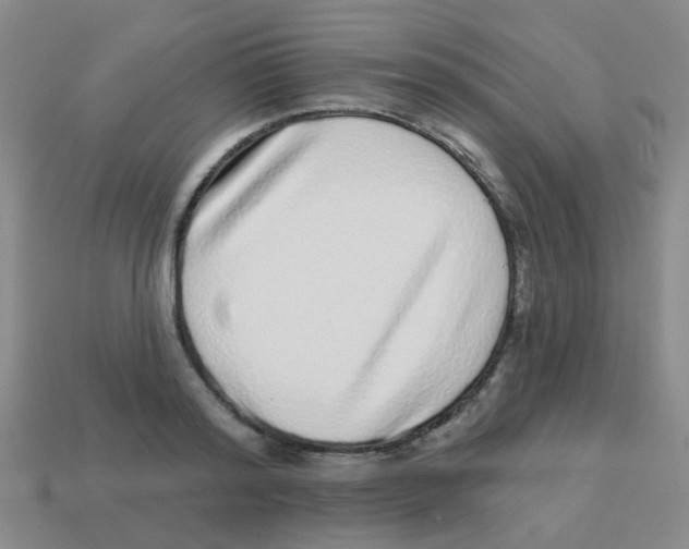 X0000113880796200910221355