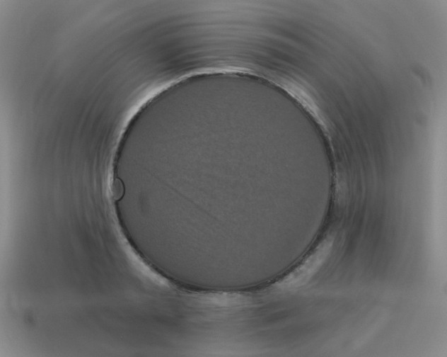X0000113880797200910221355