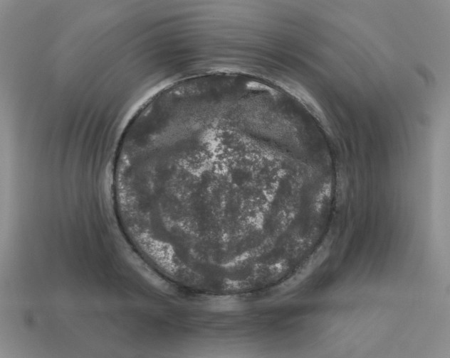 X0000113880798200910221355