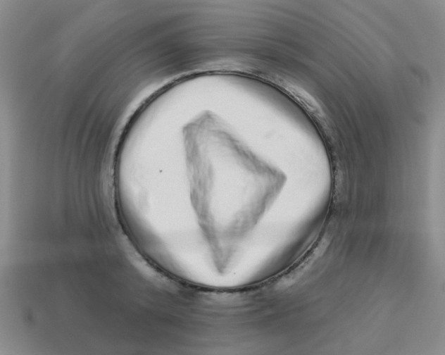 X0000113880800200910221355