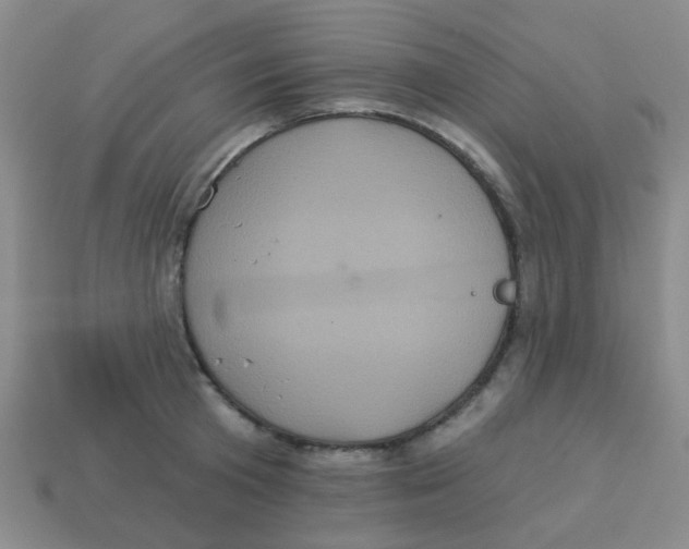 X0000113880801200910221355