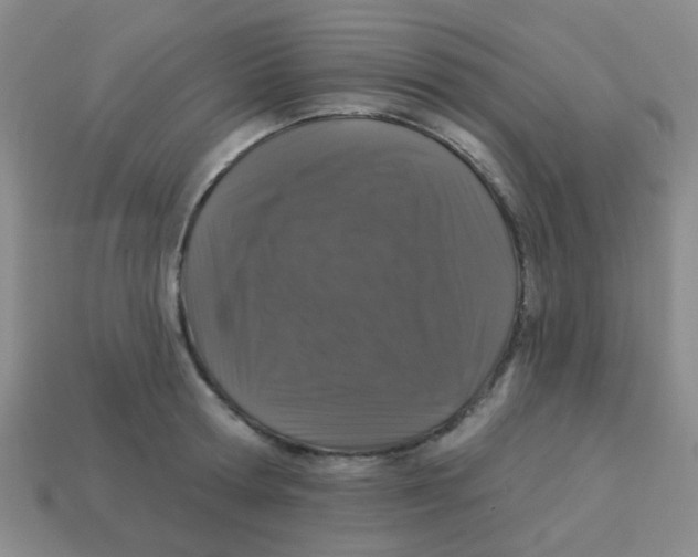 X0000113880802200910221355