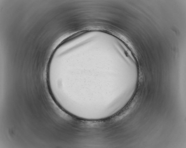 X0000113880803200910221355