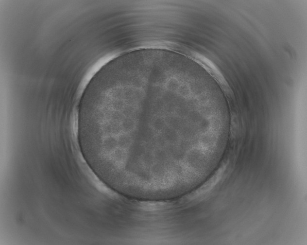 X0000113880804200910221355