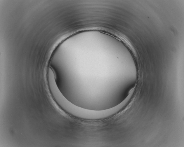 X0000113880805200910221355