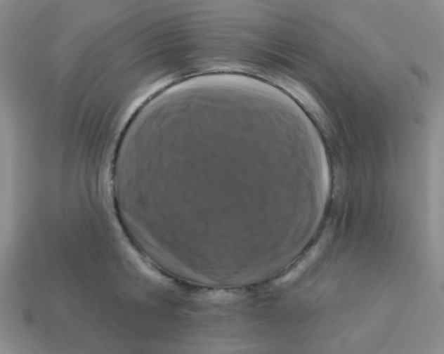 X0000113880806200910221355