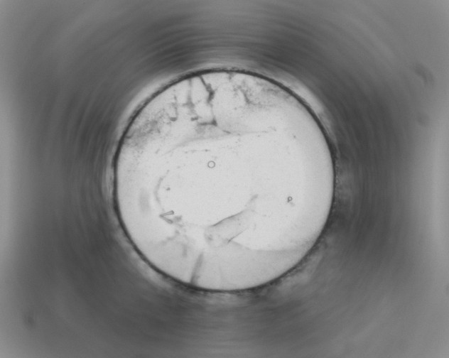 X0000113880807200910221355