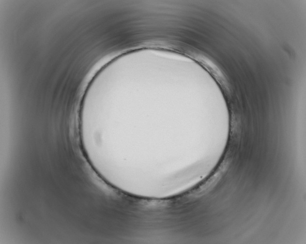 X0000113880808200910221355