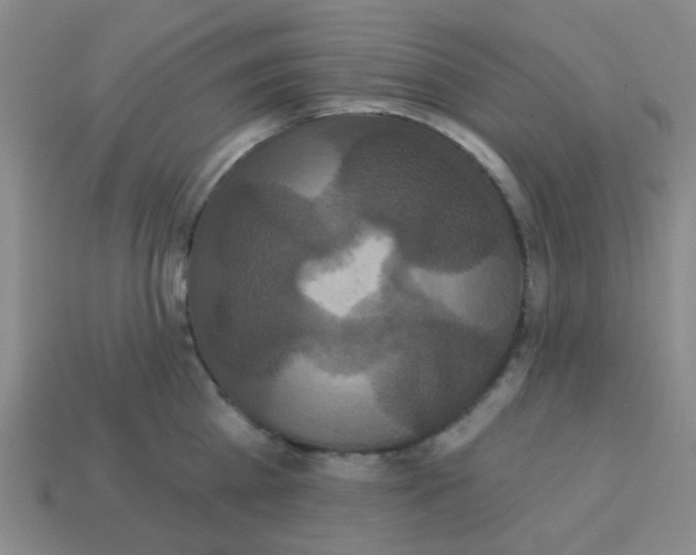X0000113880809200910221355