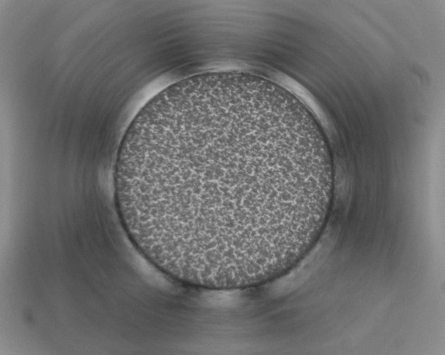 X0000113880810200910221354