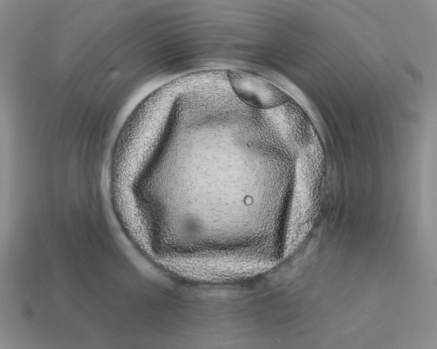 X0000113880811200910221354
