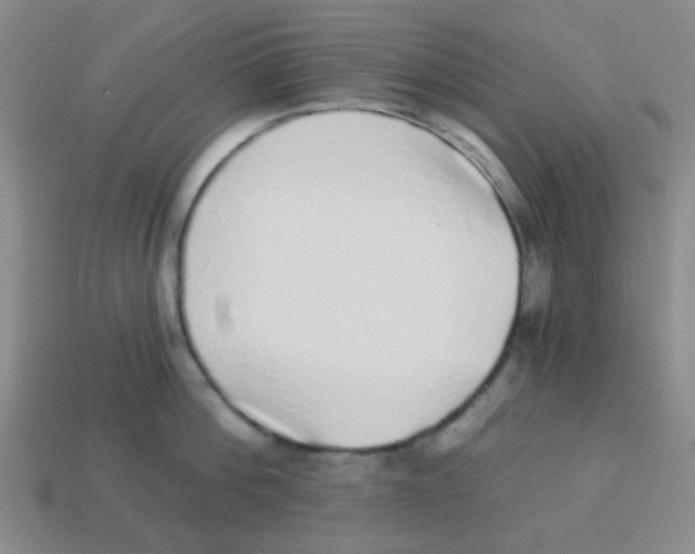 X0000113880812200910221354