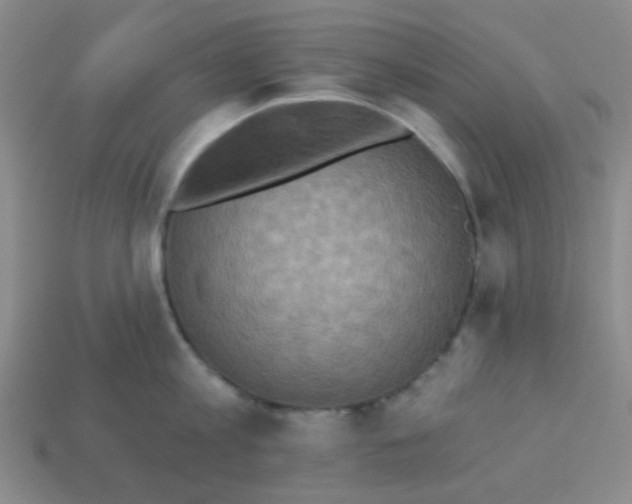 X0000113880813200910221354