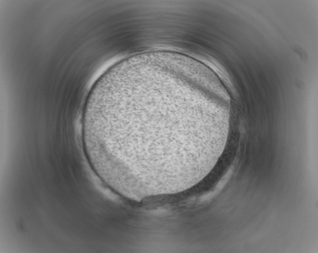 X0000113880814200910221354