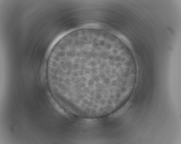 X0000113880816200910221354