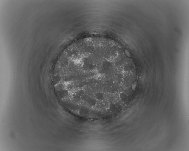 X0000113880817200910221354