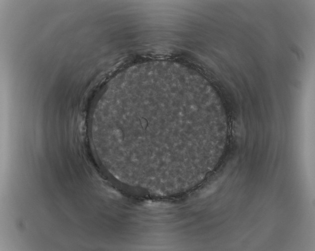 X0000113880818200910221354