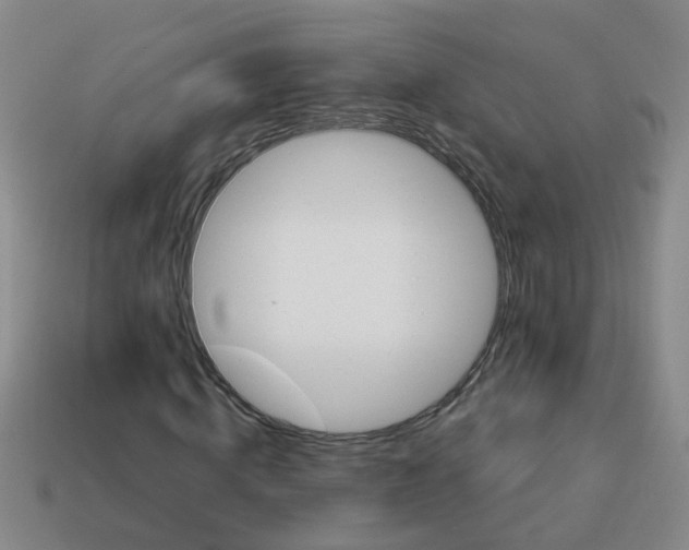 X0000113880820200910221354