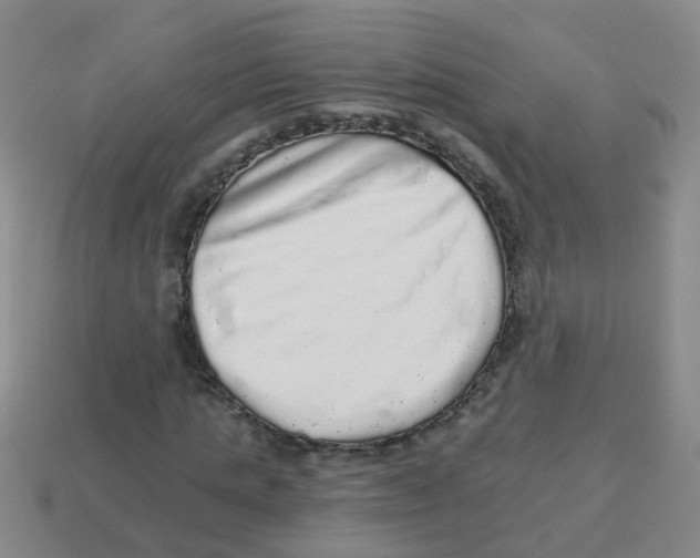 X0000113880821200910221354