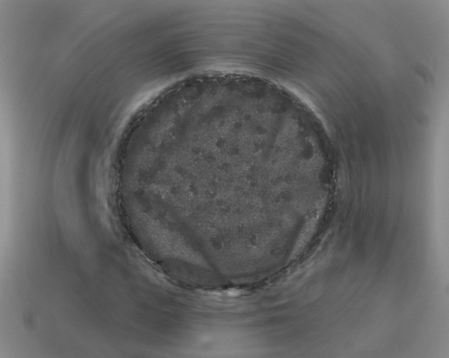 X0000113880823200910221354