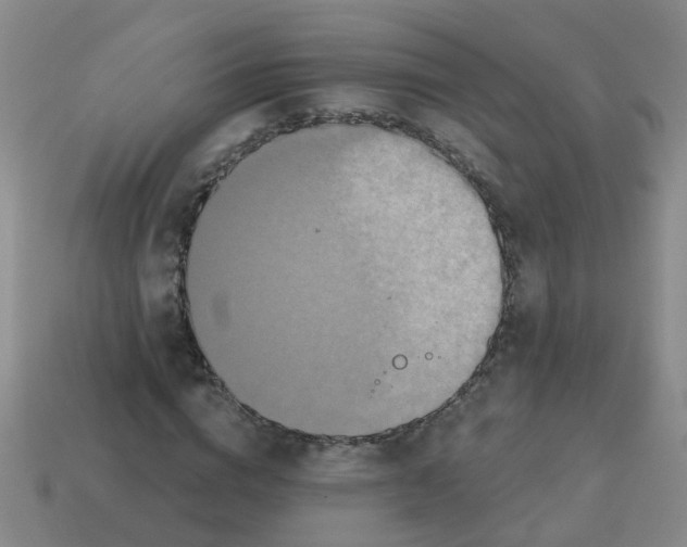 X0000113880824200910221354